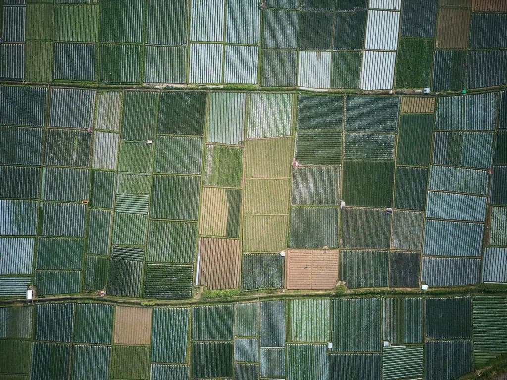 illustration Terrain à bâtir en lotissement en France